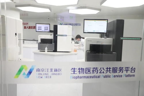 科技創新驅動發展，看江北新區如何以技術服務打造創新高地